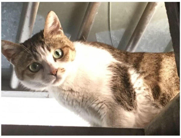 반지하에 사니까 좋은점