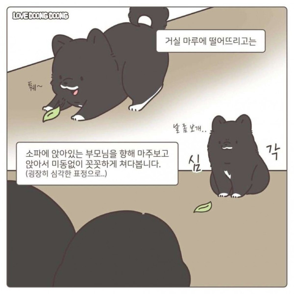 협상하자는 댕댕이