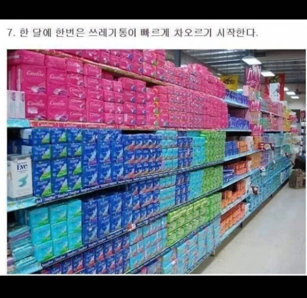 여친이랑 동거하면 생기는 일