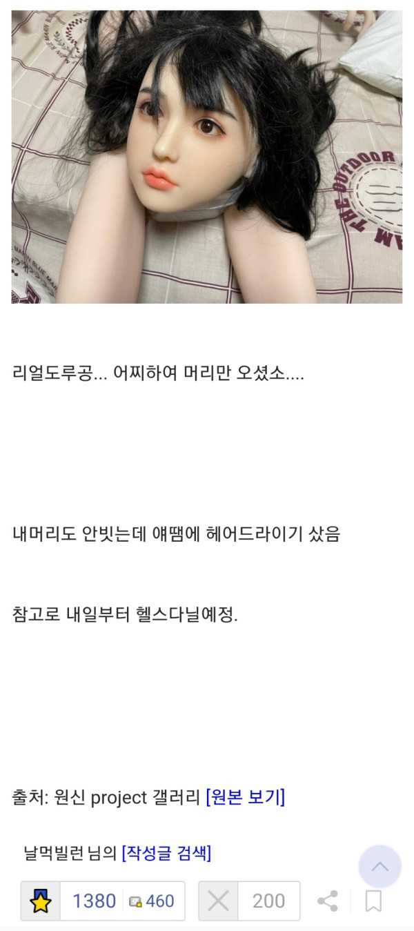 리얼돌을 구입한 디씨인의 후기