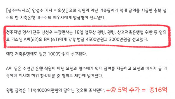 16억 횡령에 기천만원 벌금형..