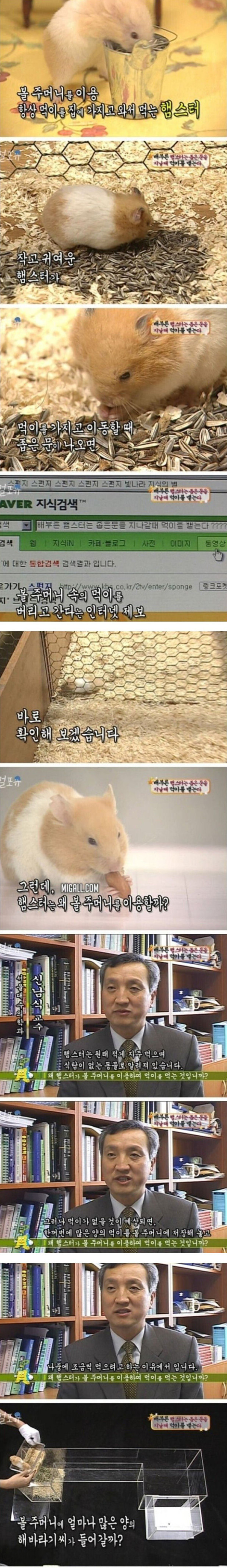 의외로 욕심이 없다는 동물