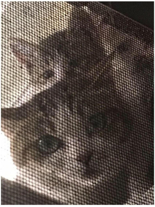 반지하에 사니까 좋은점