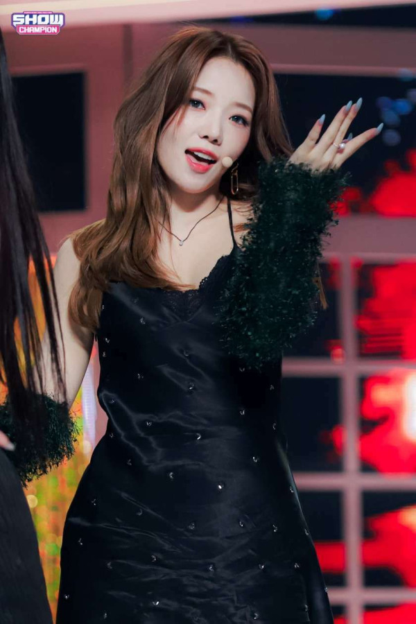 노지선 쇼챔 직찍