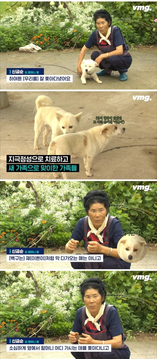 실종된 치매 할머니 구한 반려견