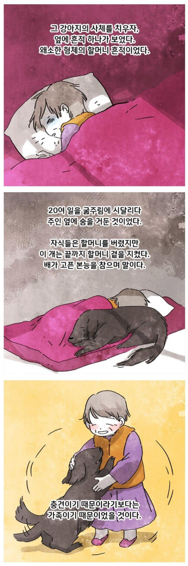 고독사 현장에 남겨진 반려견
