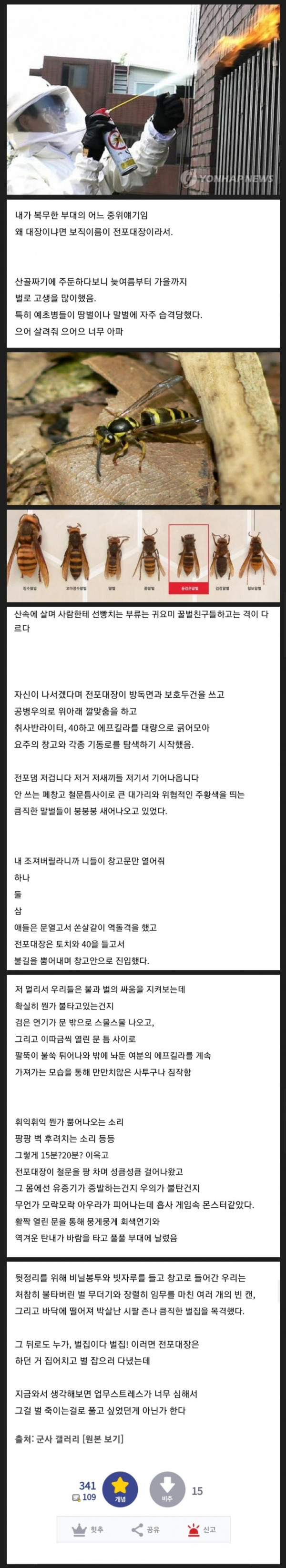 벌을 죽이는데 진심이었던 어느 대장