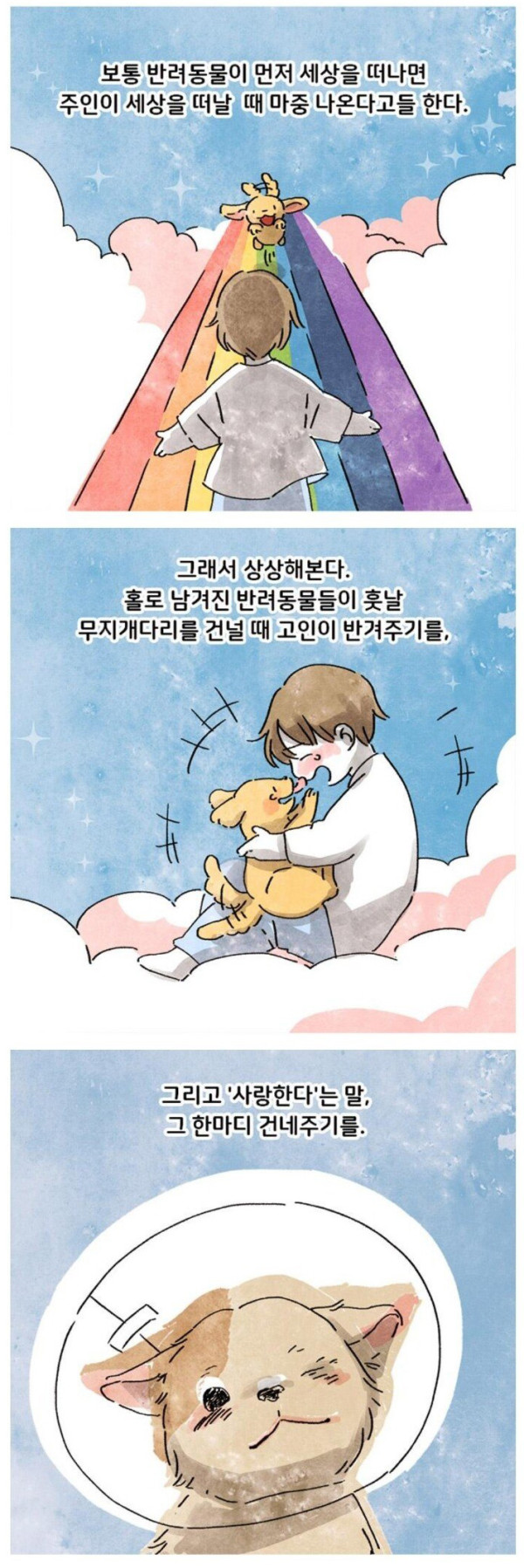 고독사 현장에 남겨진 반려견