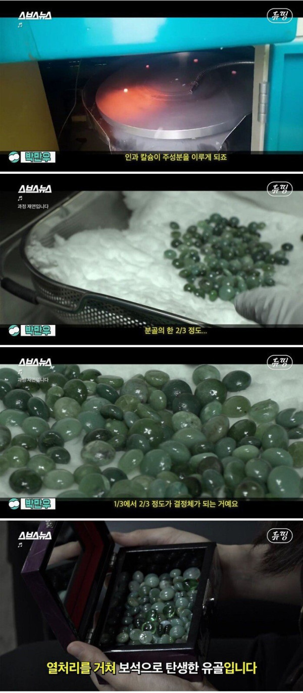 유골을 보석으로...?