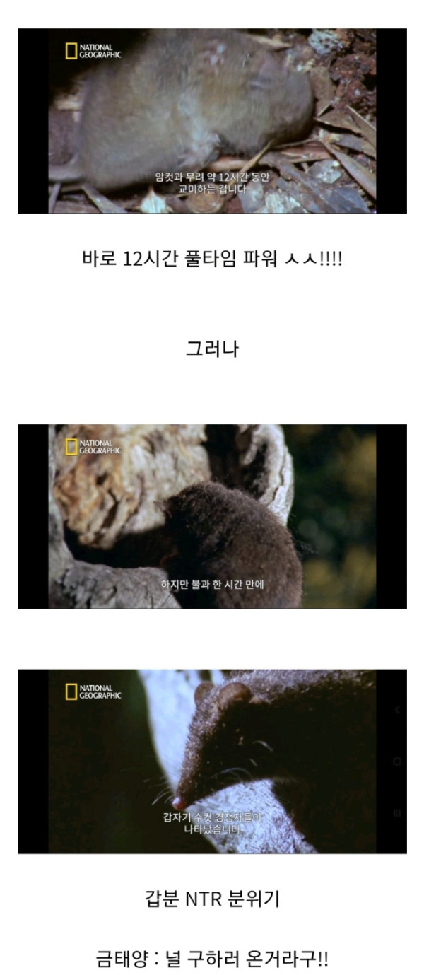 목숨을 건 ㅅㅅ