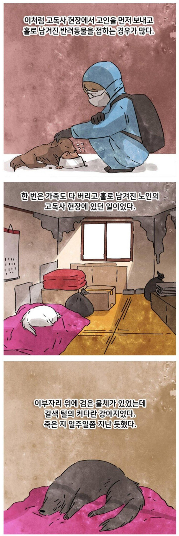 고독사 현장에 남겨진 반려견