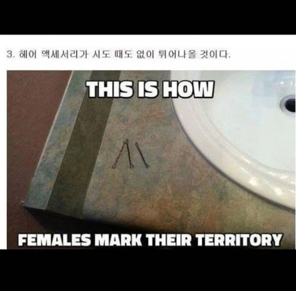 여친이랑 동거하면 생기는 일