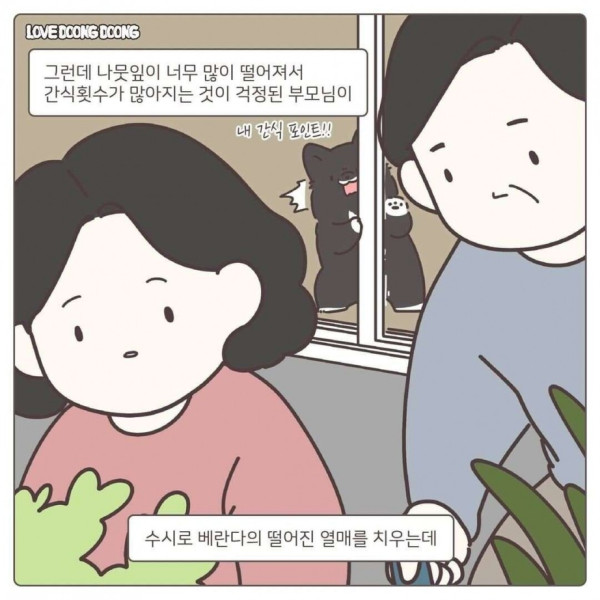 협상하자는 댕댕이