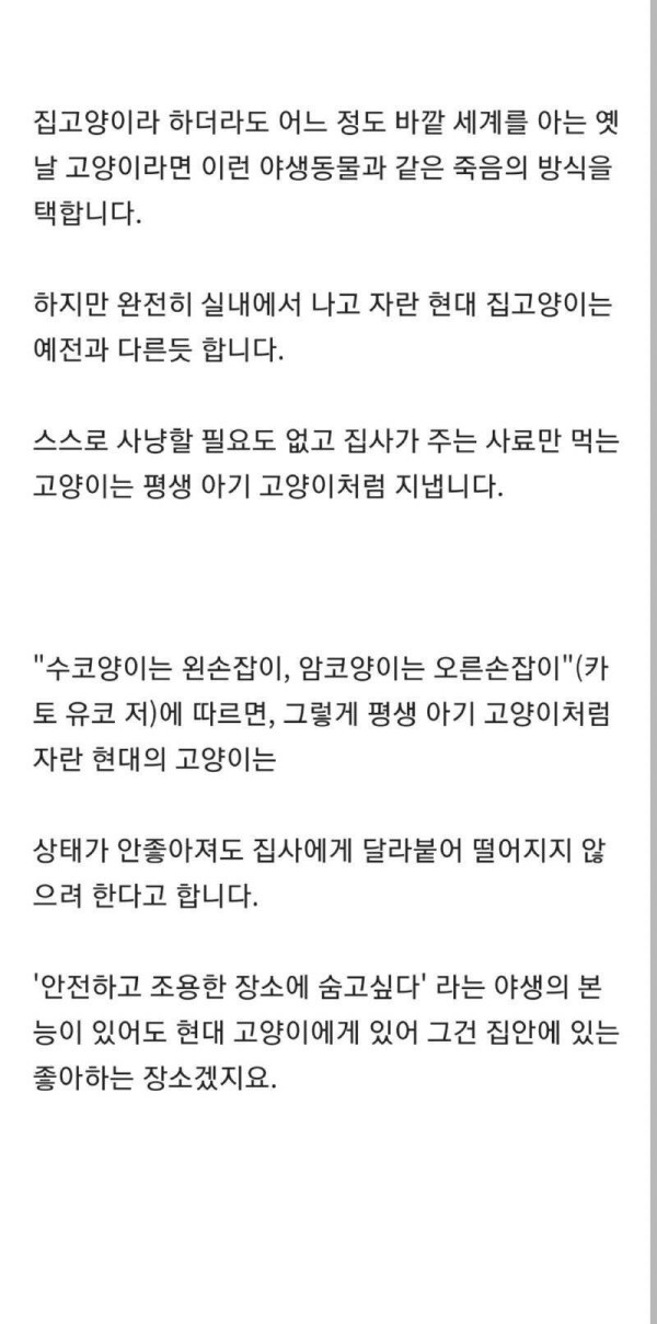 동물들은 죽음의 공포를 이해하지 못한다???