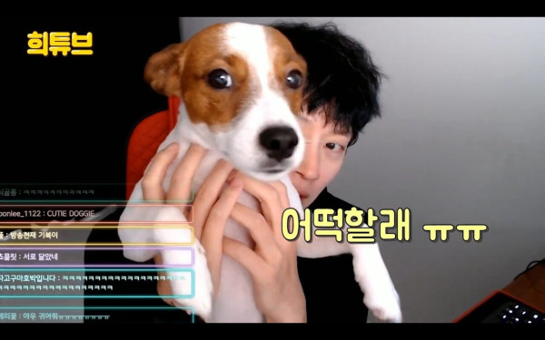 여시 극딜하는 김희철