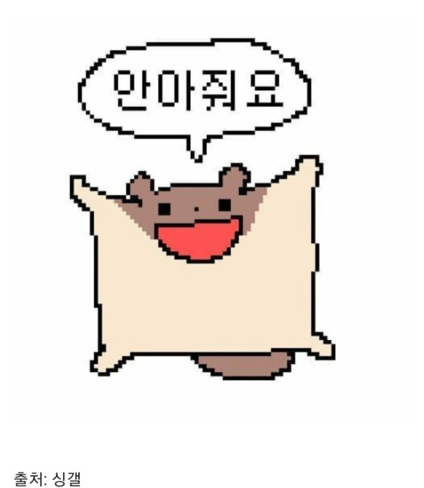 요즘 익룡 복원도 근황