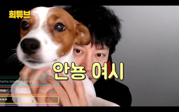 여시 극딜하는 김희철