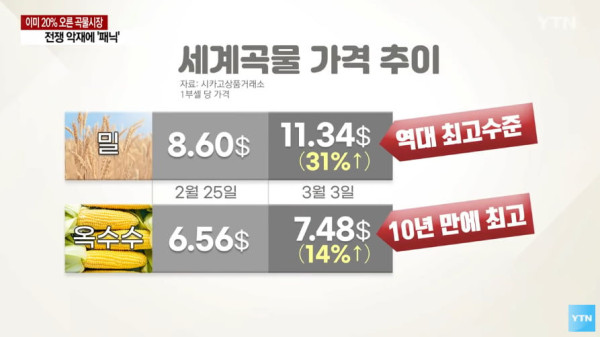 러시아-우크라이나 전쟁의 여파