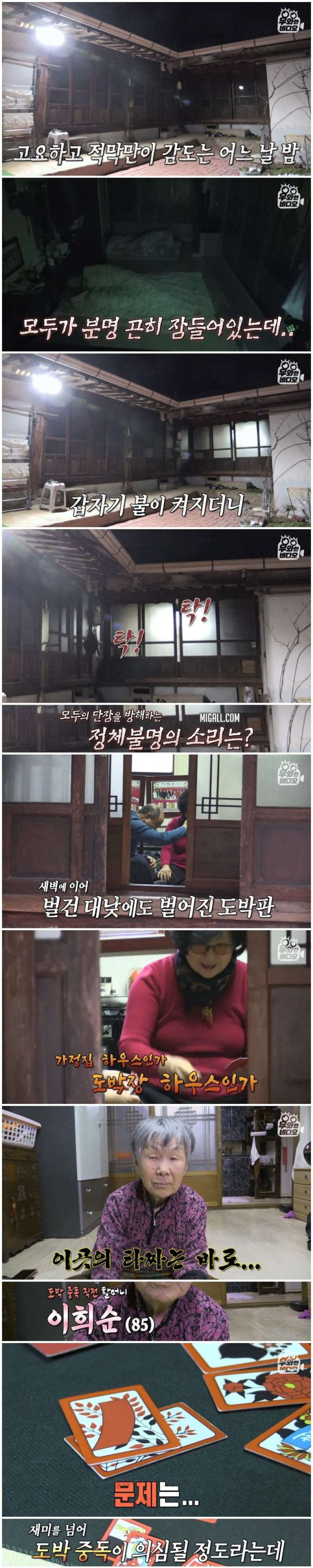 85세 치매 할머니가 화투에 집착하는 이유
