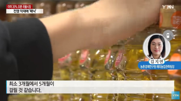 러시아-우크라이나 전쟁의 여파