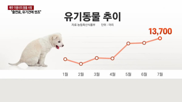 출연료를 유기동물 돌보는데 쓴 배우