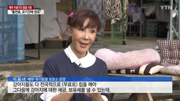 출연료를 유기동물 돌보는데 쓴 배우