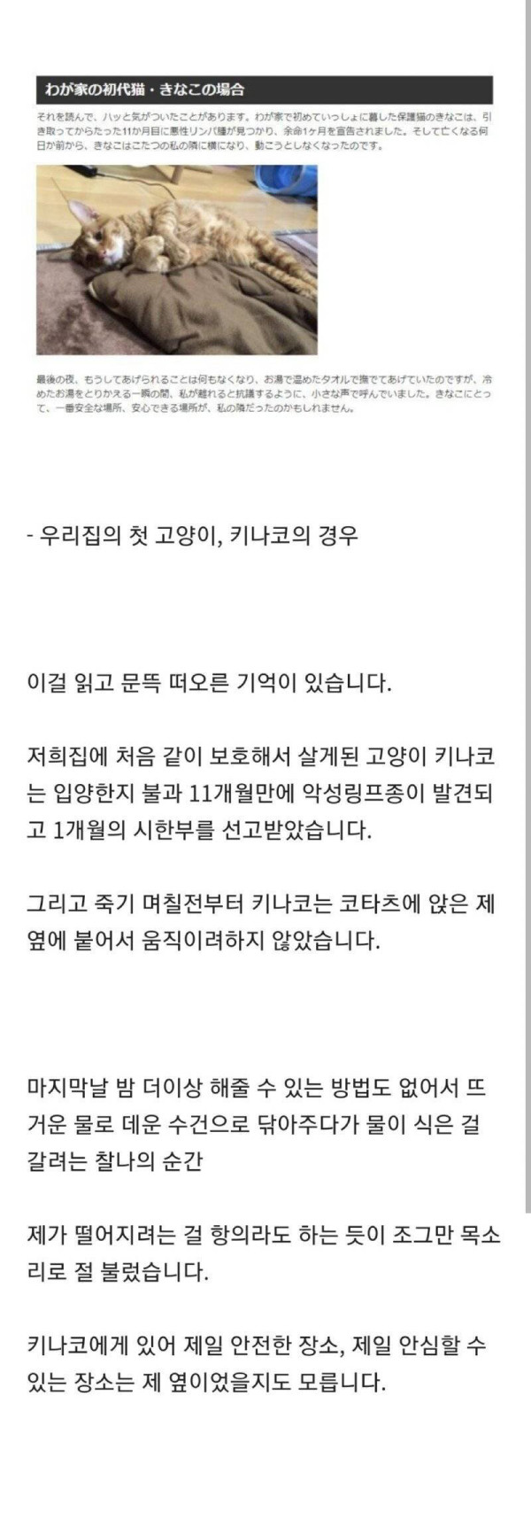 동물들은 죽음의 공포를 이해하지 못한다???