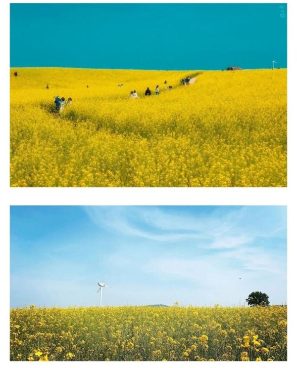 넷플릭스에서 개봉 예정인 웹툰 원작 드라마