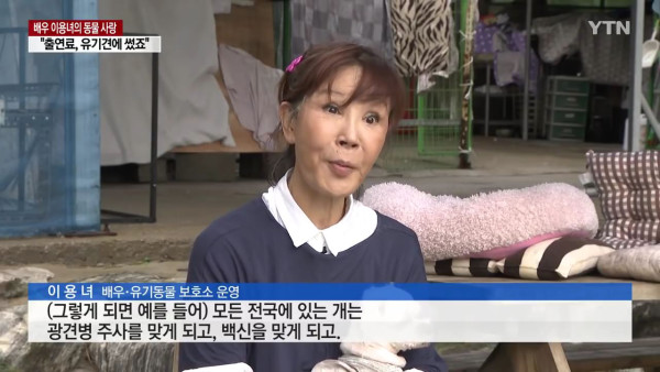 출연료를 유기동물 돌보는데 쓴 배우