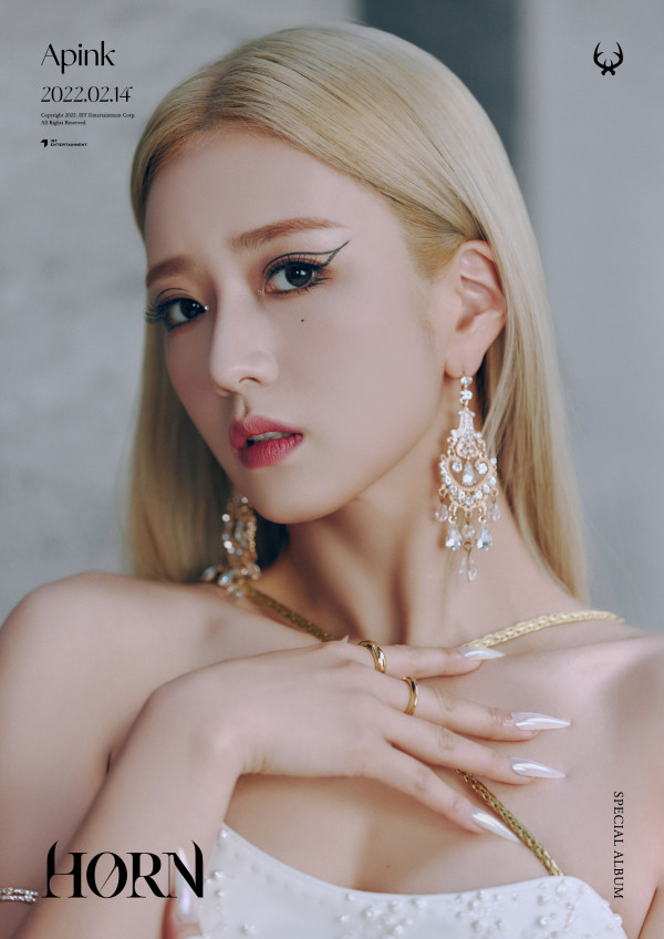 개인화보 찍은 에이핑크 보미