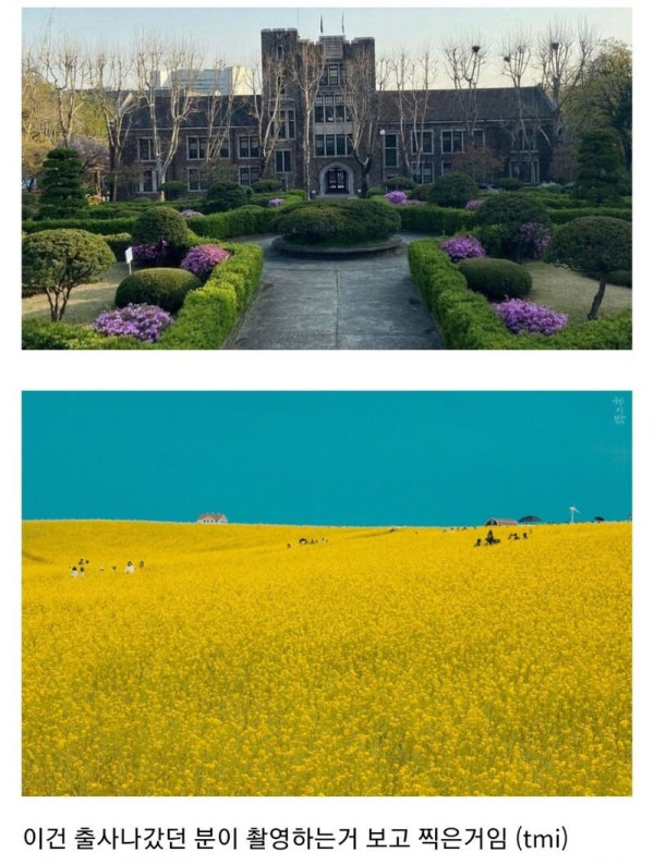 넷플릭스에서 개봉 예정인 웹툰 원작 드라마