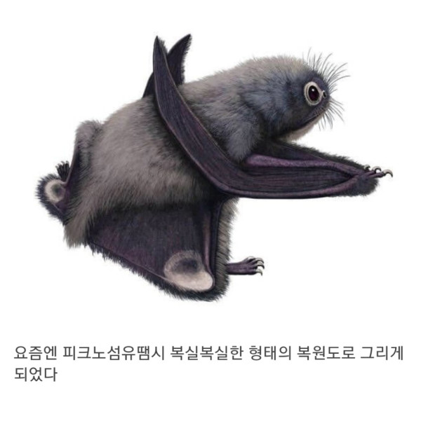 요즘 익룡 복원도 근황