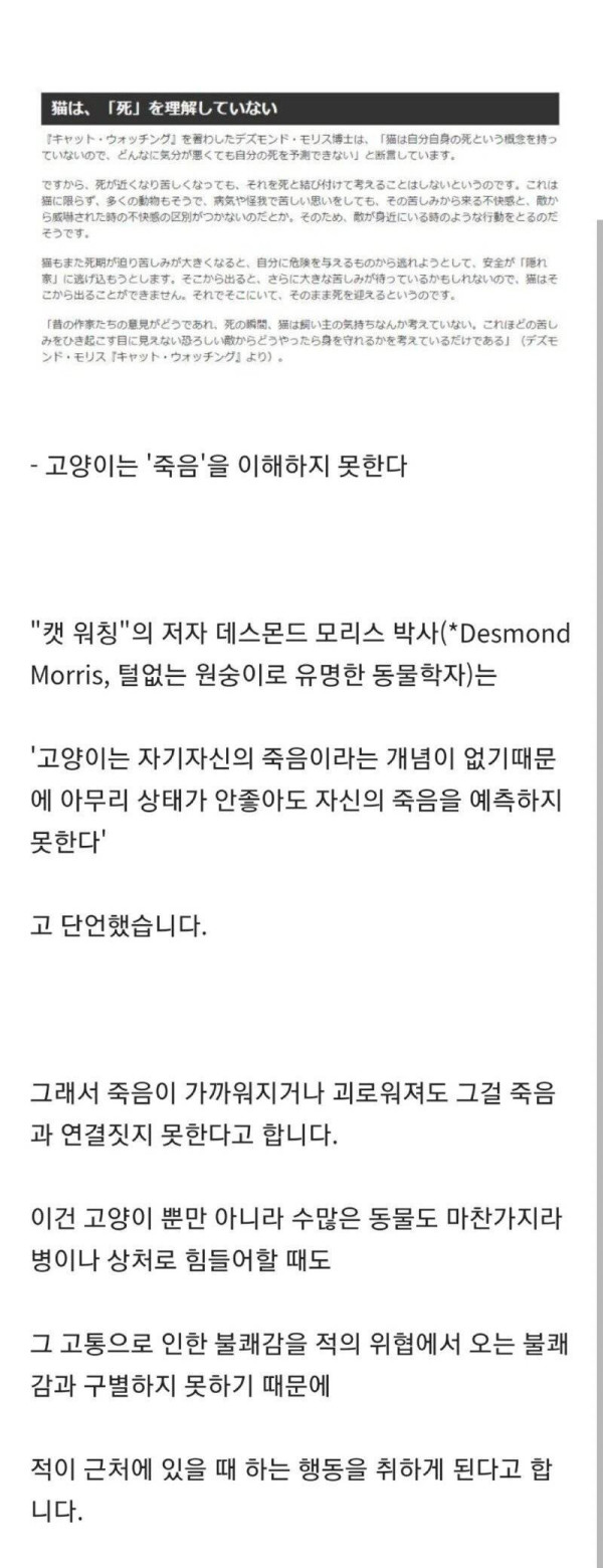 동물들은 죽음의 공포를 이해하지 못한다???