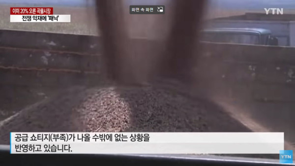 러시아-우크라이나 전쟁의 여파