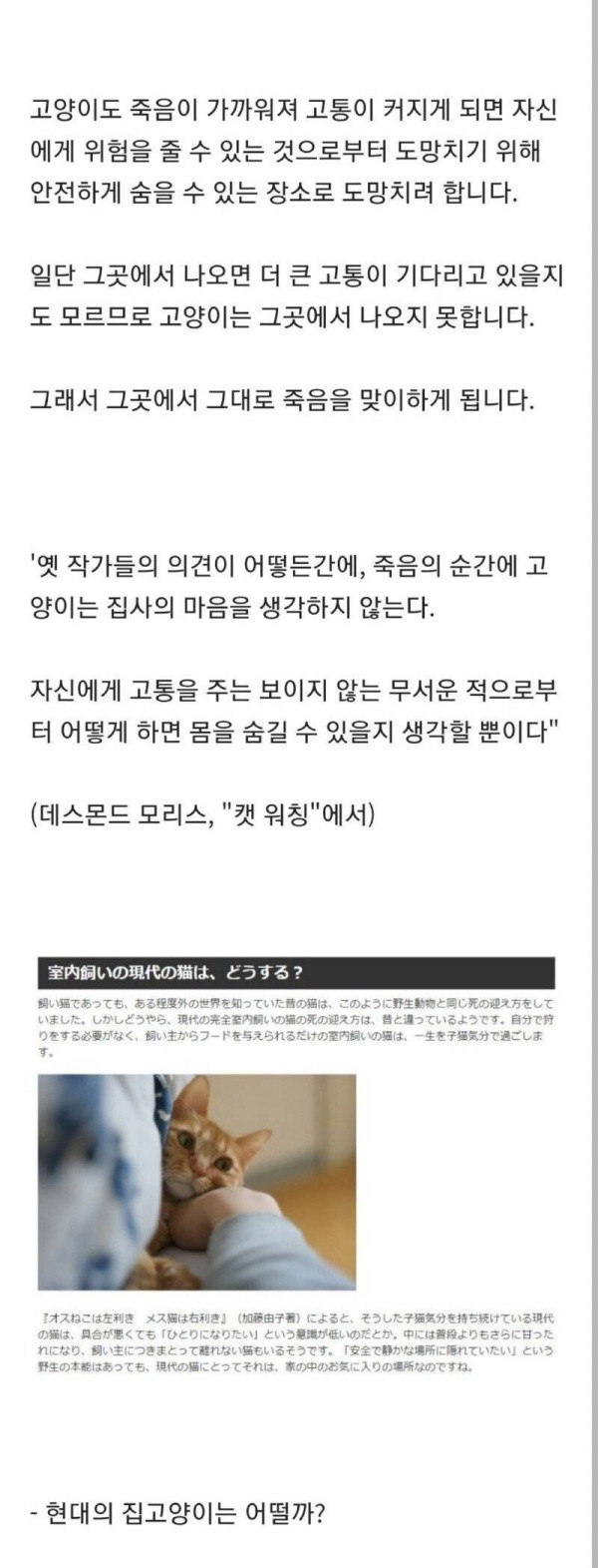 동물들은 죽음의 공포를 이해하지 못한다???