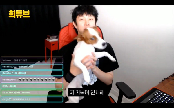 여시 극딜하는 김희철