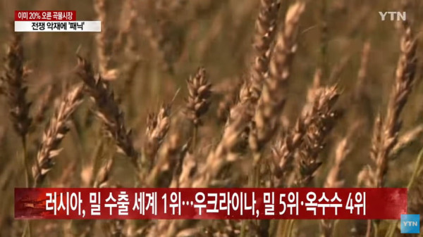 러시아-우크라이나 전쟁의 여파