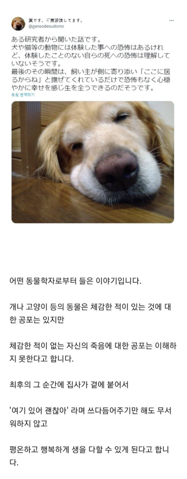 동물들은 죽음의 공포를 이해하지 못한다???