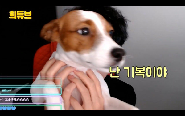 여시 극딜하는 김희철