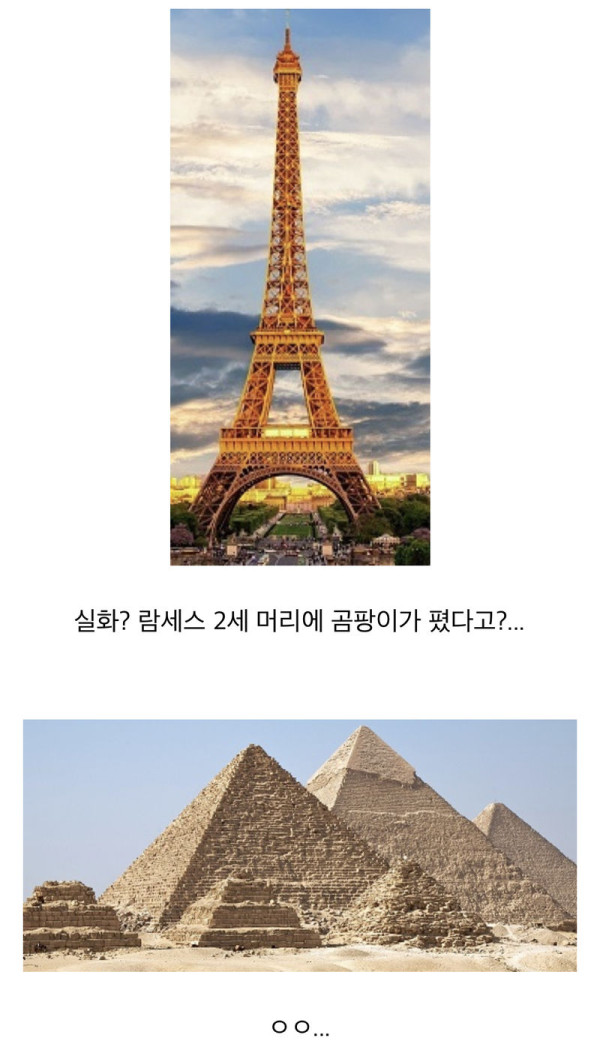 세계 최고령 여권이 생긴 사건