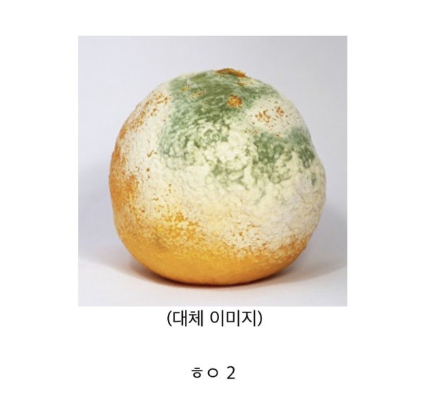 세계 최고령 여권이 생긴 사건