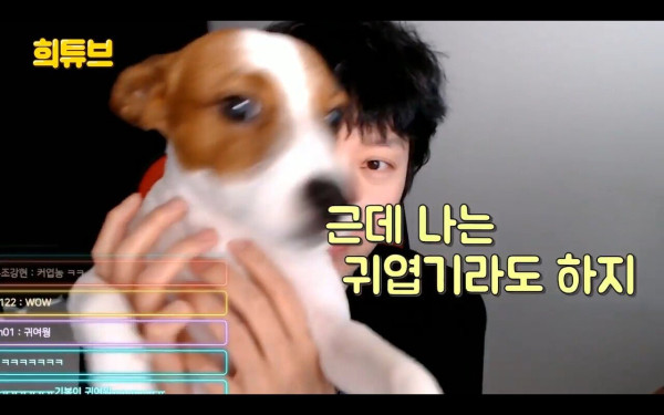 여시 극딜하는 김희철