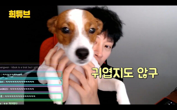 여시 극딜하는 김희철