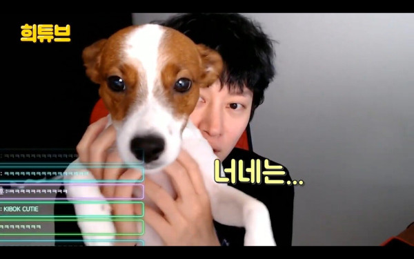 여시 극딜하는 김희철