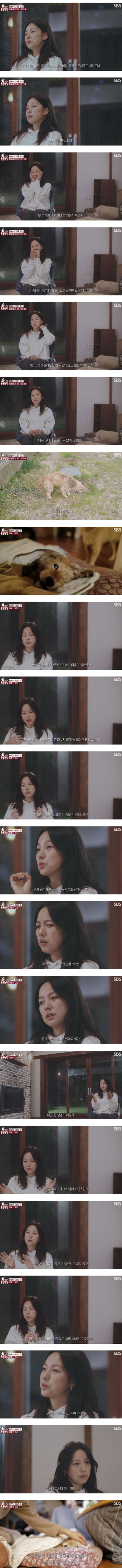 이효리 반려견 순심이가 죽기 전 다른 동물들이 보인 반응