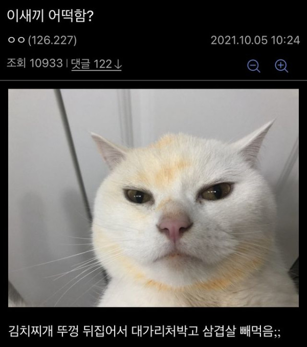반려동물 키우는 이유