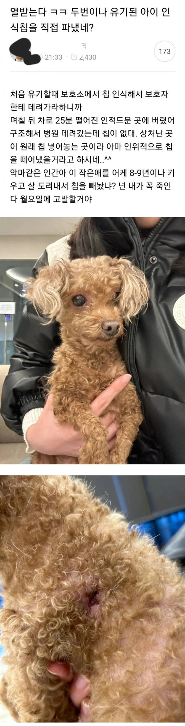 궁금한 이야기까지 나온 역대급 강아지 유기사건