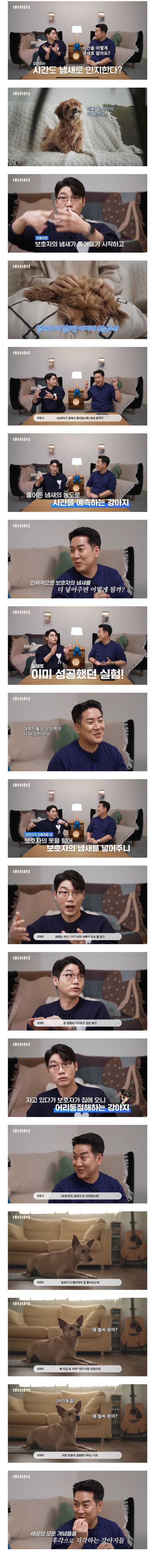 멍멍이는 내 퇴근시간을 어떻게 아는걸까?