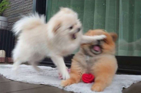 오이를 찍었을 뿐인데...