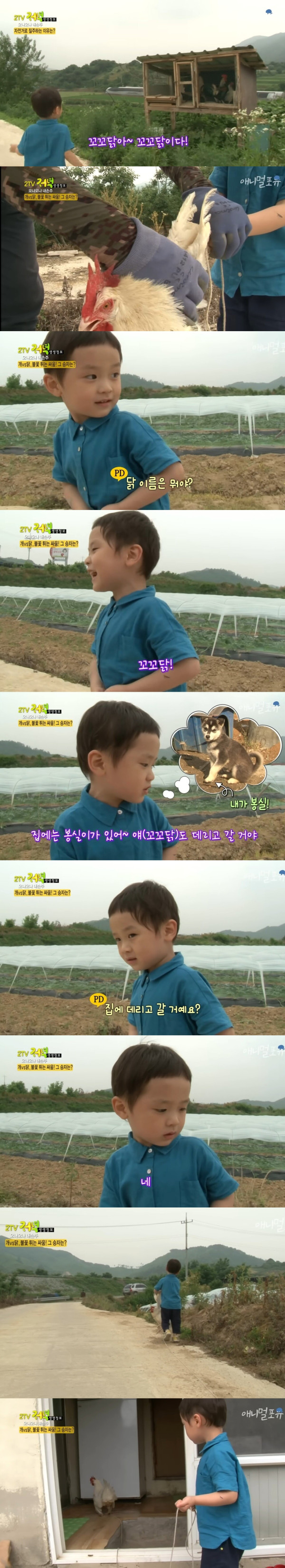 동심파괴 레전드